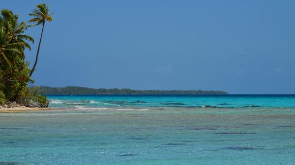Vatican pass : votre clé pour une visite sans tracas