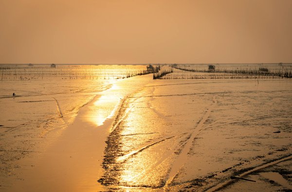 Choisir entre Cours de Ski Privés et Collectifs : Avantages Incomparables pour Améliorer Votre Glisse