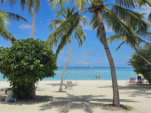 Explorez les cabanes dans les arbres les plus extraordinaires à réserver en France !